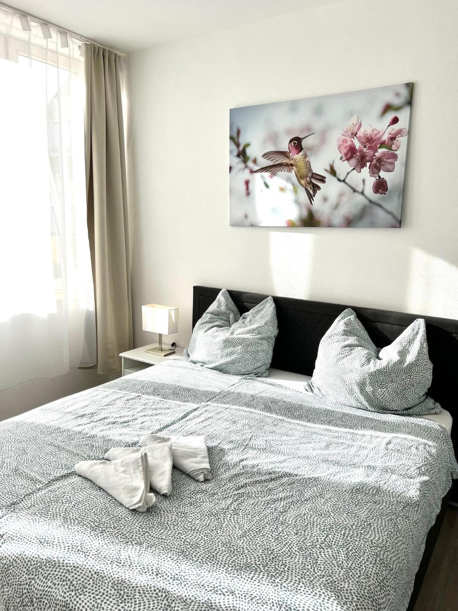 City Appartement Kueche,Bad, Parken Im Zentrum Von Ravensburg Dış mekan fotoğraf